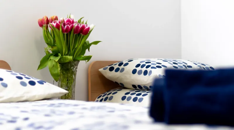 ensuite-essential-pillows